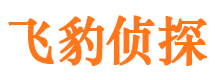 大兴市调查公司